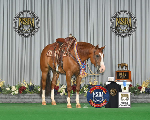 Sumac Gunnabeflashy Named 2023 NSBA Horse Of The Year