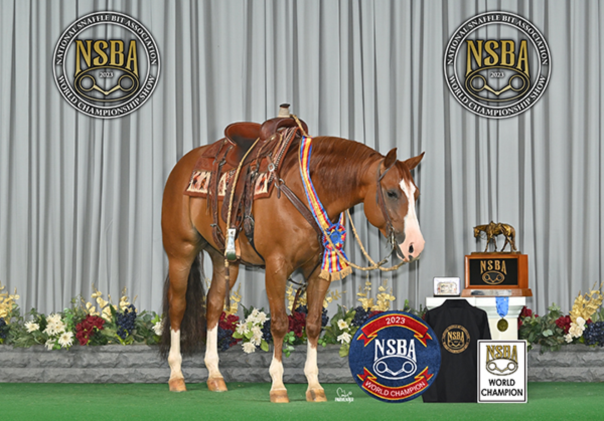 Sumac Gunnabeflashy Named 2023 NSBA Horse Of The Year