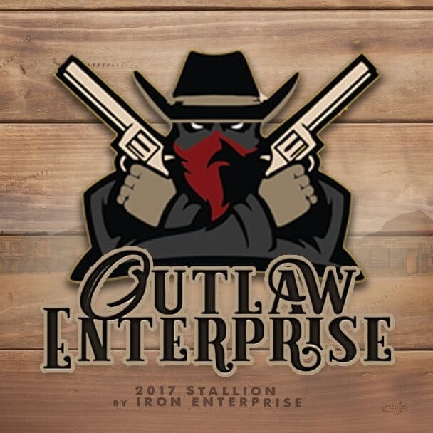 Outlaw Enterprise